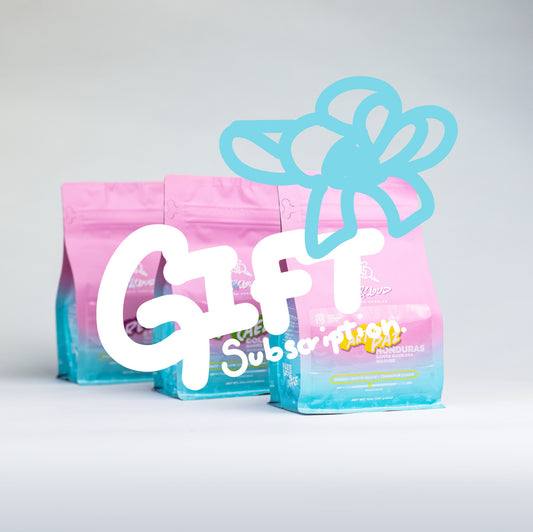3 Month Gift Subscription | Monthly
