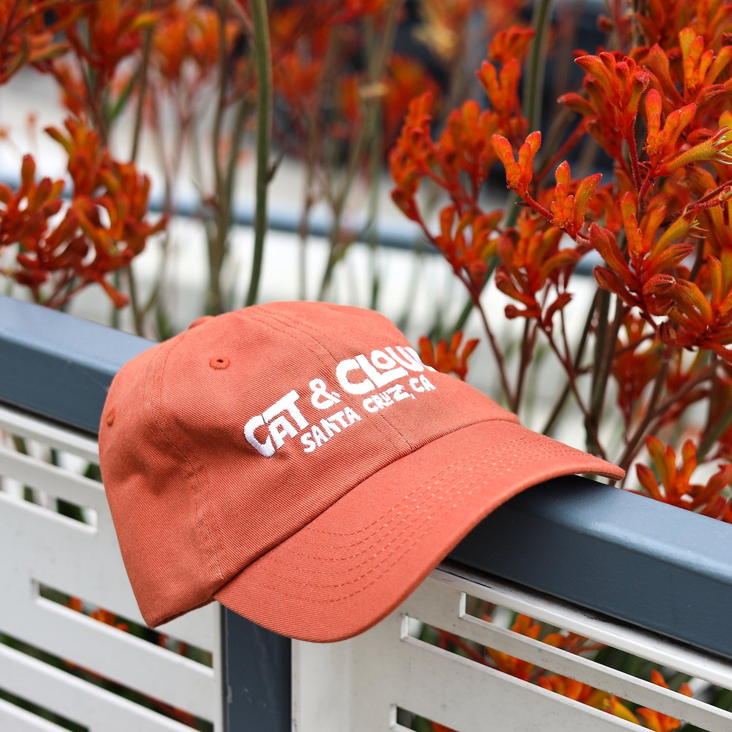 Dad Hat - Rust