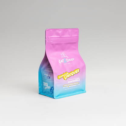 Guatemala Familia Vasquez