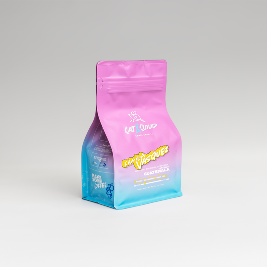 Guatemala Familia Vasquez