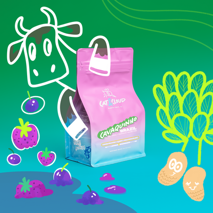 Brazil Cavaquinho Natural