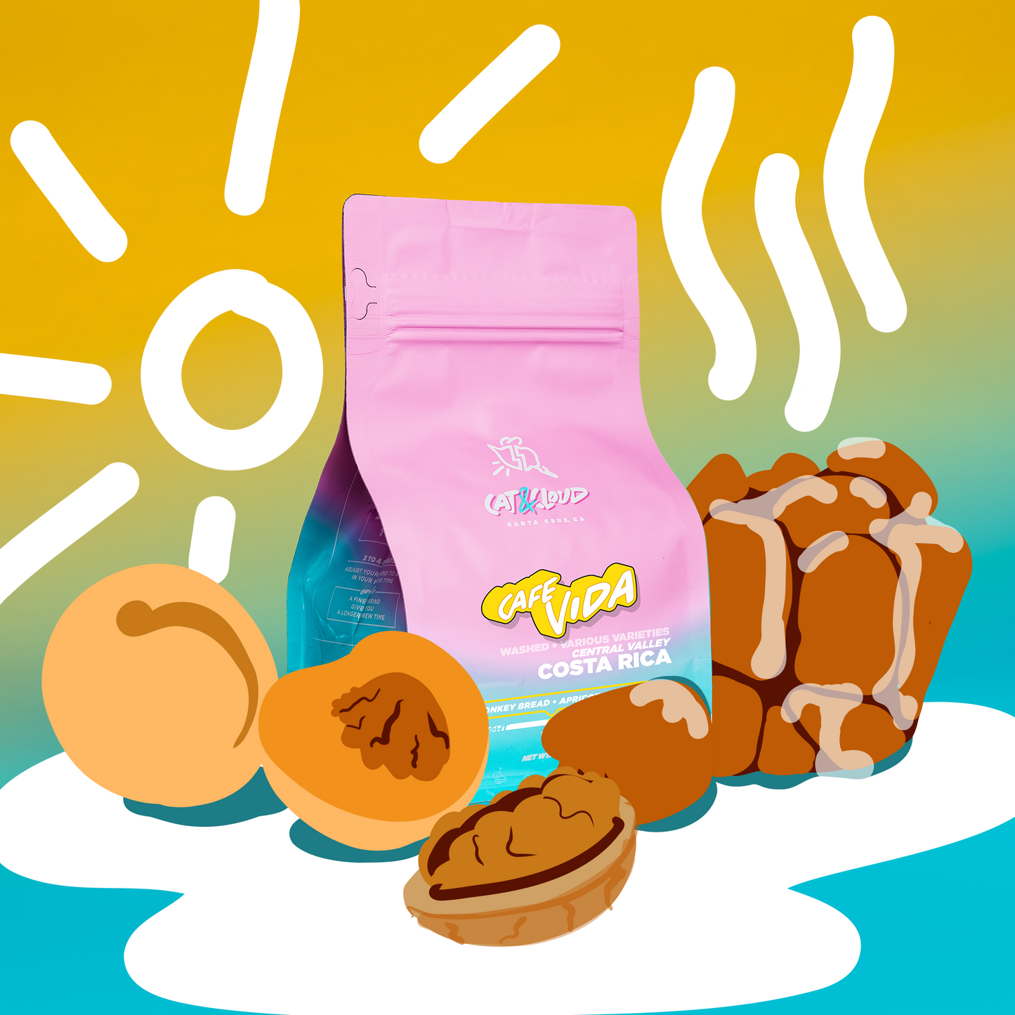 Costa Rica Cafe Vida