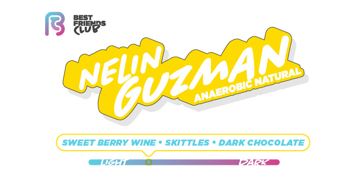 Honduras Nelin Guzman Anaerobic Natural— Sweet Berry Wine, Skittles, Dark Chocolate
