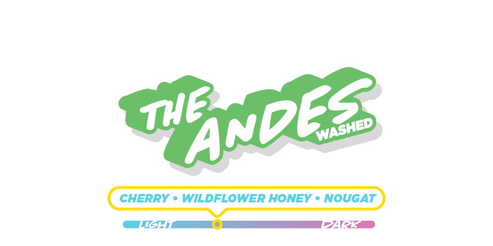 Peru The Andes Washed— Cherry, Wildflower Honey, Nougat