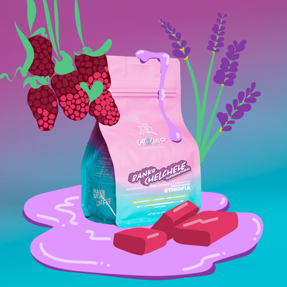 Ethiopia, Banko Chelchele